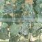 High quality IVY/artificial leaf fence/wall for outdoor and garden landscape