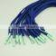 Wholesales Platic tip Shoelaces Charms Yeezy