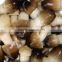 Polish Wild Dried Button Mushroom Natural Cultivation