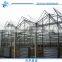 High quality Venlo Glass Greenhouse for flowers