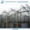 Sp-P-96-H Venlo Multi-Span Horticultural Polycarbonate sheet Greenhouse