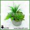 Mini Artificial Potted Echeveria Plant in Round Concrete Pot for Table Plants