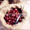 Common Cultivation Type and gunny bag Packaging china raw fresh chestnut