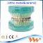 Popular Transparent Plastic Pathologic Dental Implant Model for study
