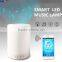 Multifunctional wireless bluetooth speaker built-in amplifie and hifi stereo with LED colorchanging night light