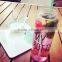 Tritan Fruit Infusion Bottle/500ml Plastic My Bottle