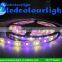 5000x15mm 12 volt 16 pixels/m flexible led lights