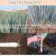 organic Polymer carbon trace elements chelated fertilizer