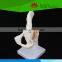High quality Medical teaching human Life-size hip joint with ligaments