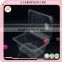 Clear plastic clamshell fruit packaging