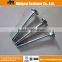 Supply standard DIN603 good fastener round head square neck carriage bolt