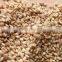 Premium Quality Sesame Seeds - Indian Origin
