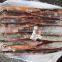 Frozen Illex Argentina Squid 100-150g