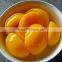 Best canned peach in China