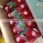 VIETNAMA DRAGON FRUIT