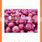 Chinese new crop product export Fresh red onion