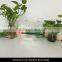 Wholesale tranquility Window Bird Feeder in Premium Lucite Acrylic. (No more squirrels)001