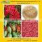 SCHISANDRA CHINENSIS EXTRACT