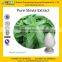 GMP manufacturer supply Bulk Stevia Stevioside Stevia Extract 20%-98%