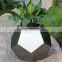 bonsai plants container stainless steel flower container and flowers pots