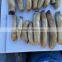 best canned mushrooms plastic drum mushroom mushroom can sizes