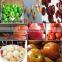 stianless steel peach pitting machine/peach stoning machine/fruit pitter