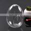 Micro Landscape Ecological Egg Shape Meaty Plant Glass Vase DIY Glass Moss
