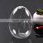 Micro landscape ecological Egg shape Meaty plant glass vase DIY glass moss