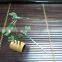 Viet nam Balancing Dragonfly with Thin Curved Tail