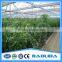 Factory Price High Quality Poly Carbonate Vegetable Greenhouse