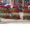 Arlau Outdoor Wooden Flower Planter Cart Dolly