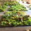 Home garden wedding decoration 200cm*100cm green original succulent with moss carpet grass wall E03 0503