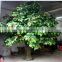 2017 hot sale cheap artificial apple tree plastic tree decorative large foliage plants
