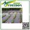 Weed control mat / pp ground cover / black weed mat