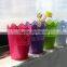 Eco-friendly Toy bucket/Metal Small garden pot/ Zinc Flower Planter