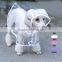 dog rainwear transparent EVA with adjustable belly part