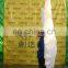 new style customized inflatable wings costume for party/event