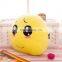 Plush Emoji Pillow Stuffed Toys/Pillow Emoji/Factory Wholesale Emoji Plush Pillow for car