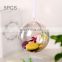 5 PCS Transparent Christmas Ball Hollow Plastic Sphere Ball Shaped Eternal Flower Ball Wedding Gift