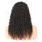 Russian  Kinky Straight Curly Human Hair Wigs 20 Inches