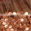 china 10mm oxygen free copper rod