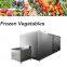 High Quality Fish Frozen Machinery Suppliers/Frozen Fish Fillets/Freezer Machine Price