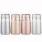 Custom Logo Insulated Double Wall Steel Water Bottle BPA Free for Sports