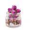 Dried Pink Flower Rose buds for Healthy Tea Drink/Dried Rose Bud Flowers made in Vietnam