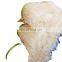 Best price DRIED RICE VERMICELLI FROM VIETNAM