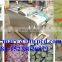 Hot Sale Industrial vegetable cutting machine/Fruit and vegetable cutting machine/vegetable cutter price