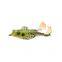 Byloo China Famous Mini High Quality Realistic 3d Rubber Top Water Floating Jump Minnow Plastic Jigging Lucana Soft Frog Fishing