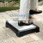 Outdoor Step