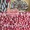 red skin peanuts 50/60