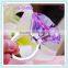 Hot sales Purple Diamond Napkin Holder K9 Crystal For Hotel&Restaurant Detor
